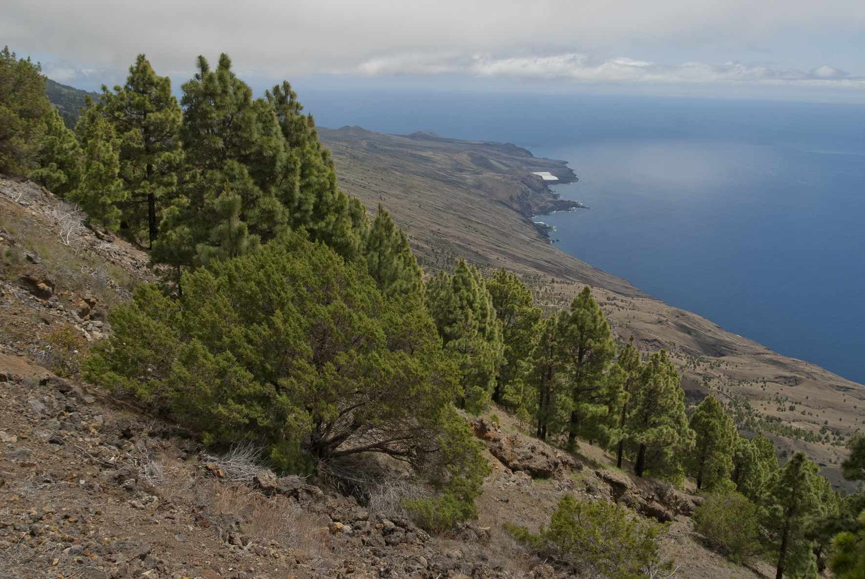 El Parque Nacional Marino de El Hierro fuera de los compromisos de España para salvar los océanos