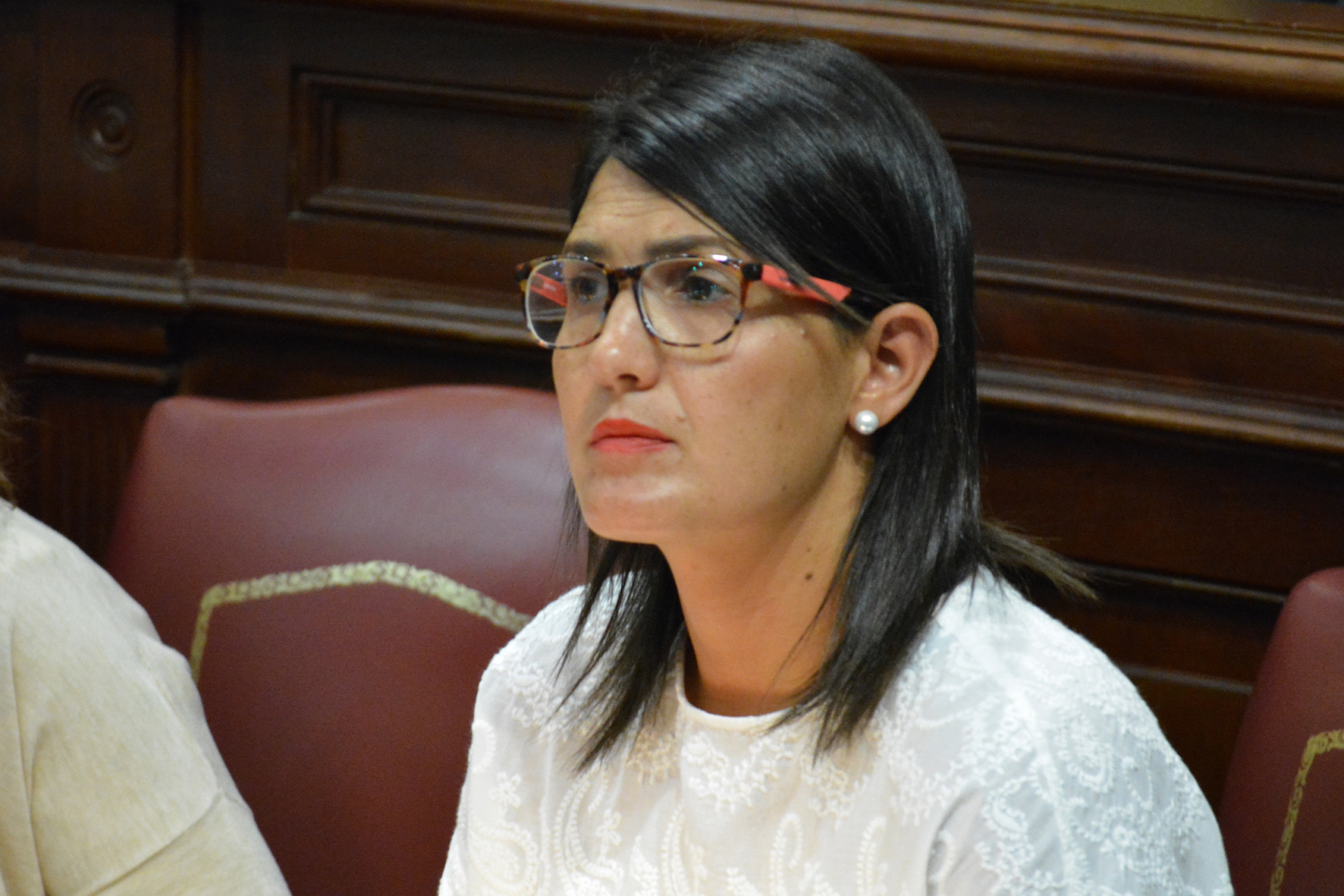 Ana González espera que la reforma de la Ley Electoral este vigente en 2019