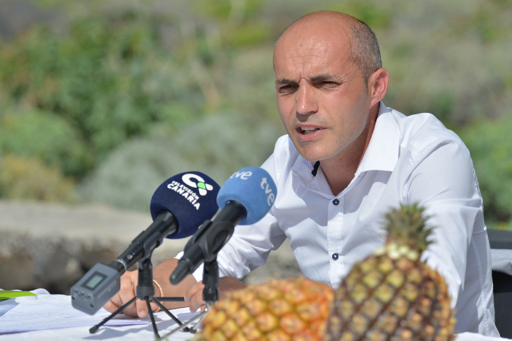 La AExEH exige al Gobierno de Canarias asegure las comunicaciones marítimas de El Hierro tras el vencimiento de la OSP el próximo 19 de noviembre