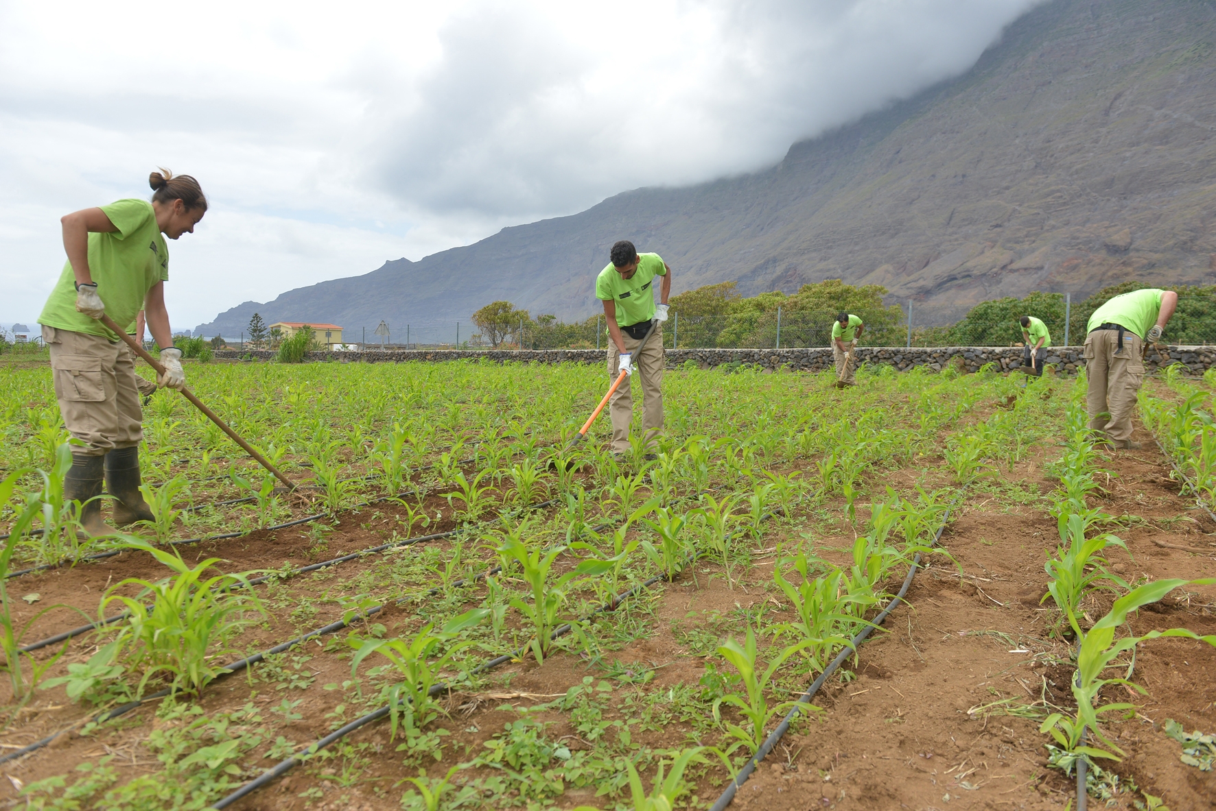 El Cabildo pone en marcha el proyecto de formación y empleo agroganadero “PFAE Agroganadería Emplea”
