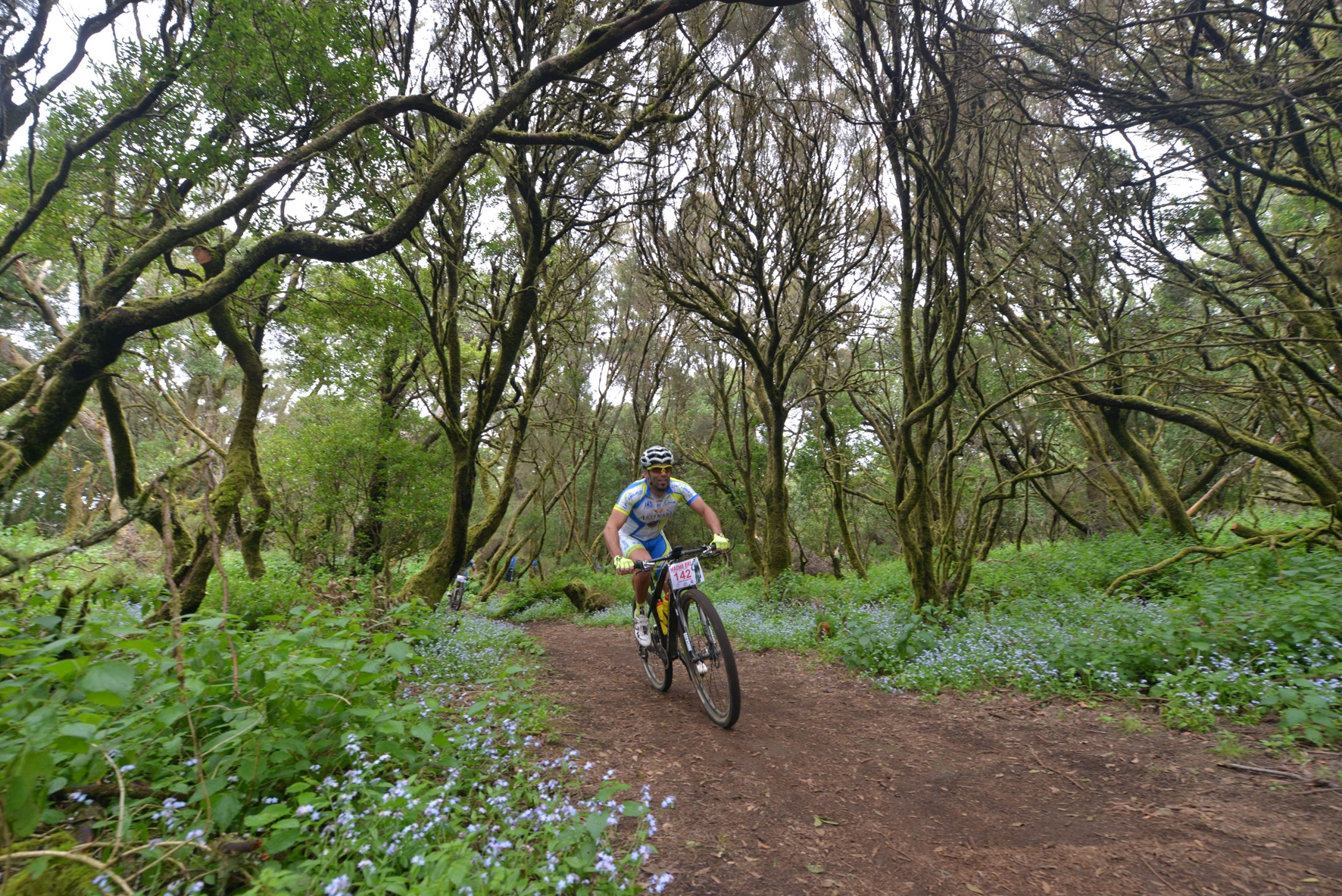 El Ayuntamiento de El Pinar estima una ocupación en El Hierro del 90% durante la Magma Bike