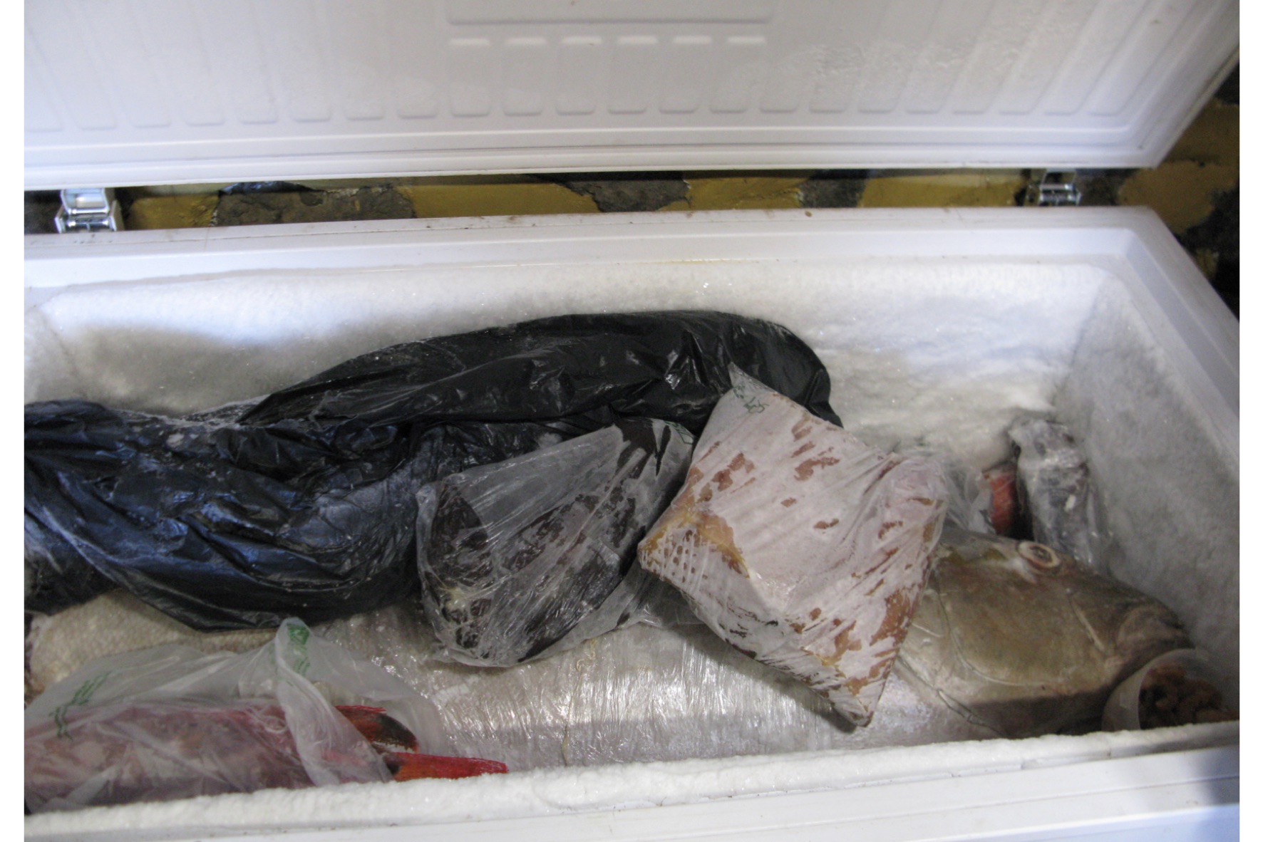  La Guardia Civil inmoviliza más de 100 kg de pescado en un restaurante en la isla de El Hierro