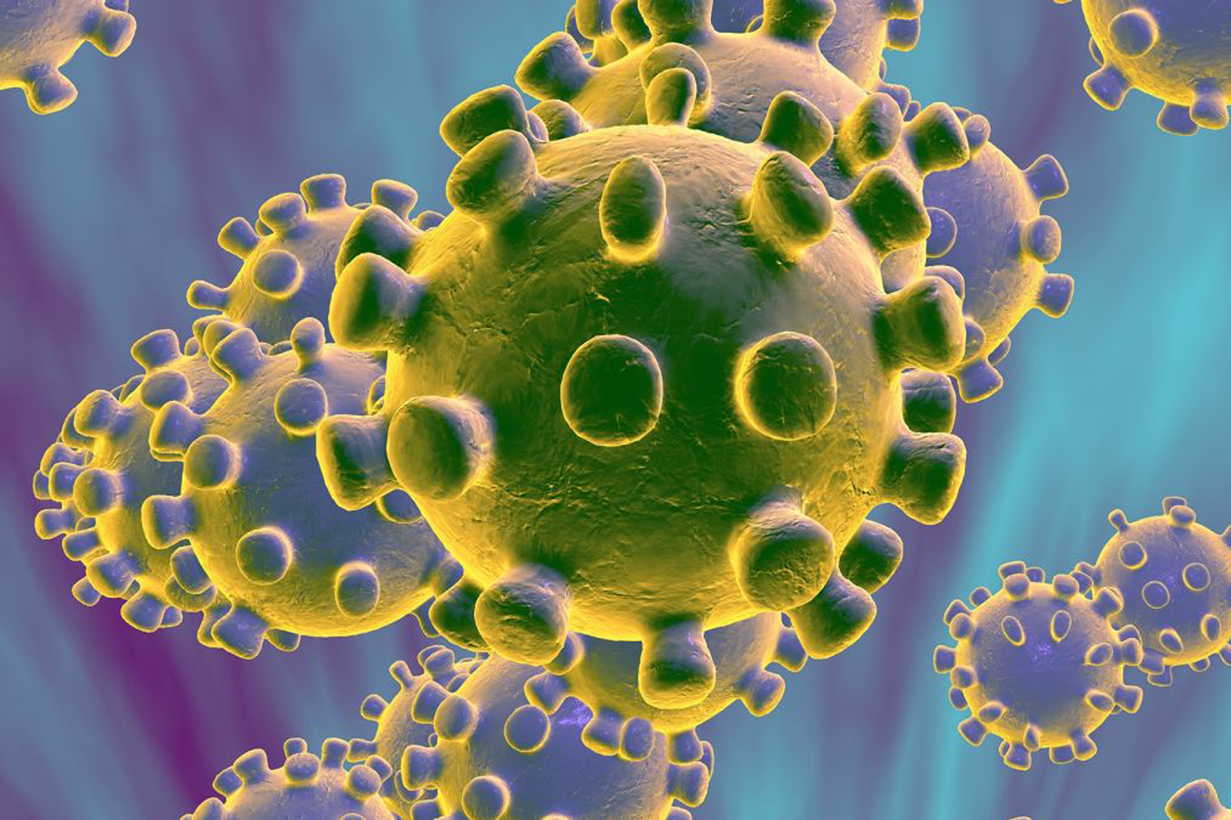 El Hierro se suma a la acción informativa del Gobierno de Canarias para paliar los efectos negativos del Coronavirus