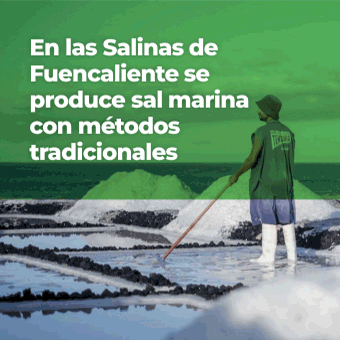 ic_im_medios_locales_display_340x340_salinas.gif