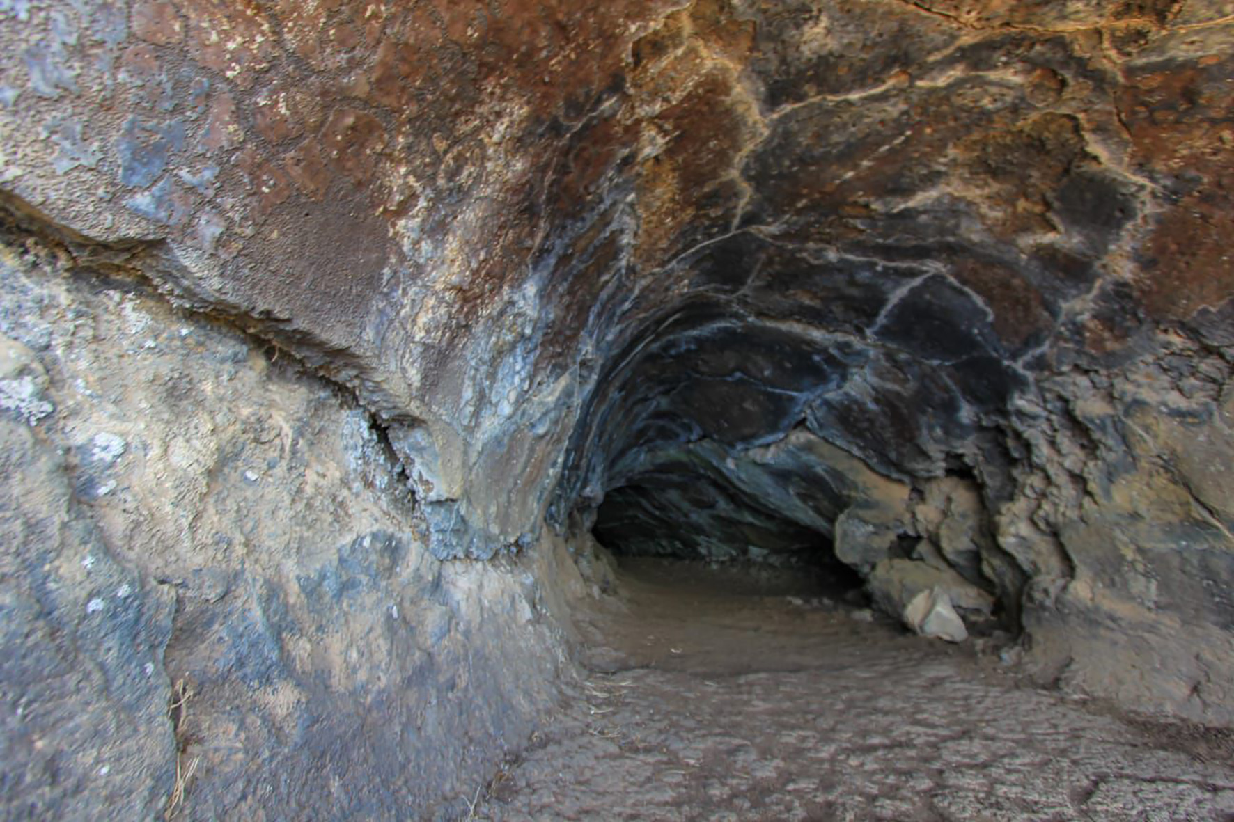 estudio sobre flora diatomológica en tubos volcánicos El Hierro