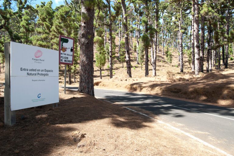 El Cabildo cierra al tráfico vías y pistas forestales debido a altas temperaturas