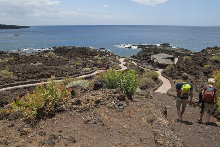 La playa de Tacorón, en El Pinar, acoge este sábado un taller de snorkel