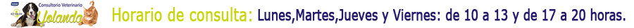 Banner veterinaria pie