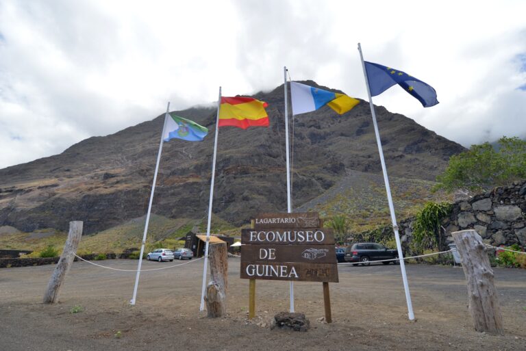 El Cabildo pone en valor el patrimonio cultural de la isla el Día Internacional de los Museos