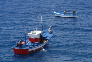 Las organizaciones profesionales de pesca exigirán la paralización de los parques eólicos marinos previstos en el territorio español