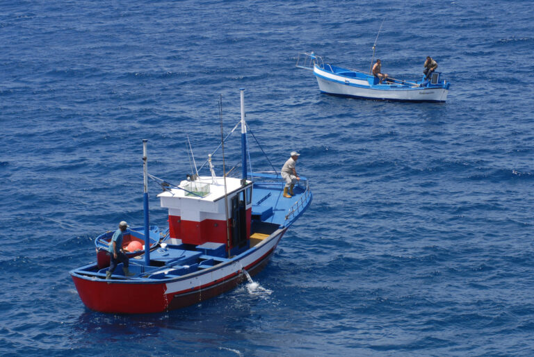 Las organizaciones profesionales de pesca exigirán la paralización de los parques eólicos marinos previstos en el territorio español