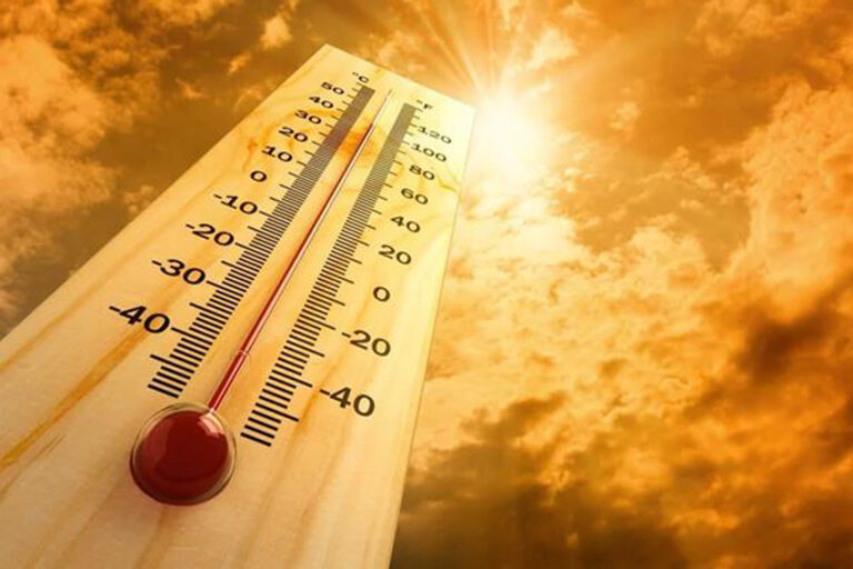 El Cabildo mantiene el cierre y prohibición del tráfico por vías y pistas forestales y el uso de fogones en áreas recreativas ante las altas temperaturas