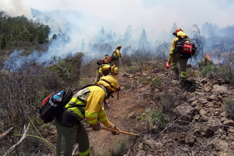 El Cabildo realiza mañana viernes un simulacro de incendio forestal