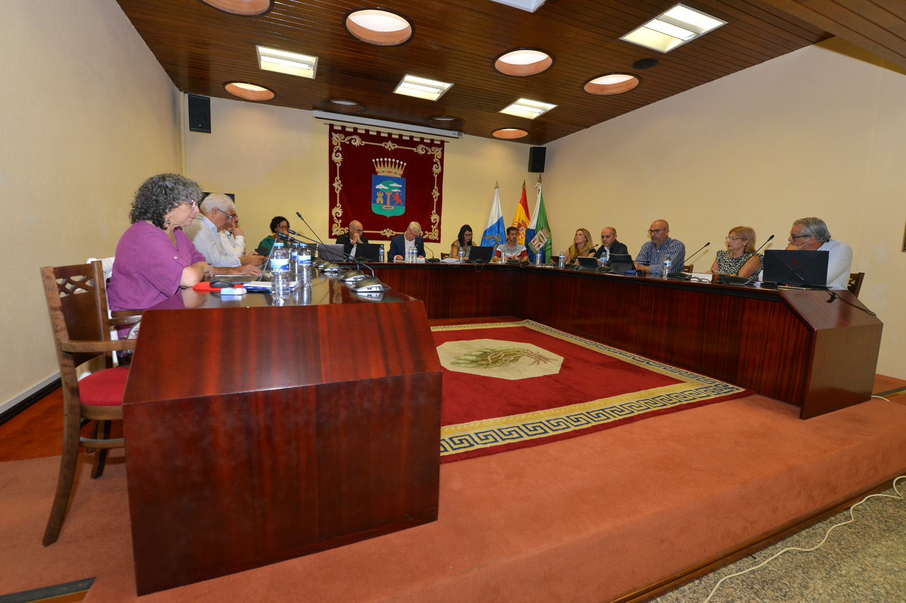 Pleno cabildo 070923