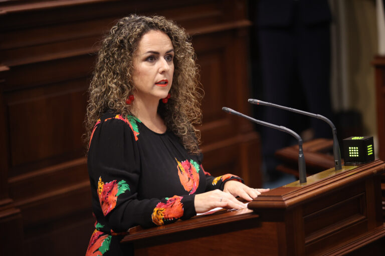 El Parlamento de Canarias aprueba la modificación de la Ley de Ordenación del Turismo