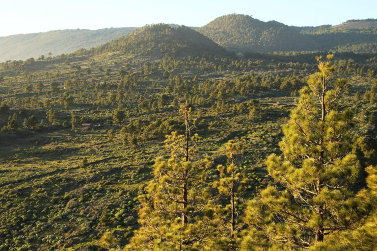 El Ayuntamiento de El Pinar organiza un sendero participativo para poner en valor el papel de la mujer en la historia rural del municipio