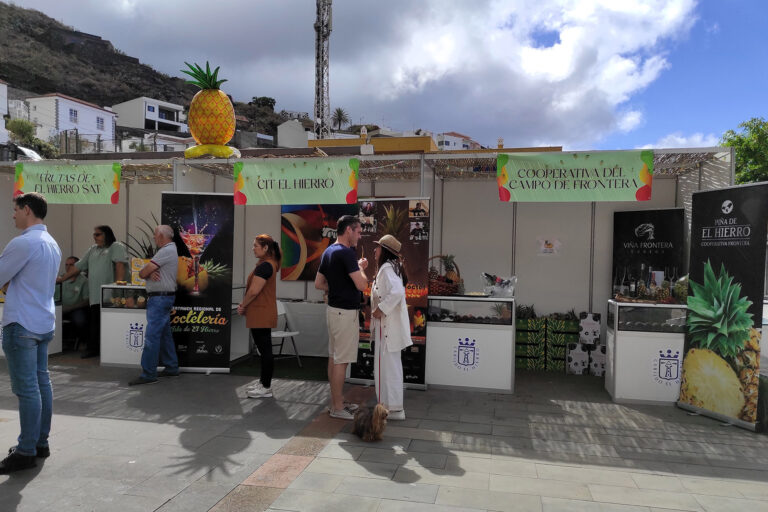 El Ayuntamiento de La Frontera abre el plazo de solicitud para los puestos del mercadillo ocasional de la IV Feria de la Piña Tropical
