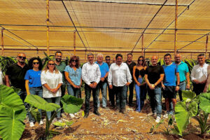 Agricultores herreños visitan plantaciones de Pitaya en Tenerife para estudiar la implantación de este cultivo en La Frontera