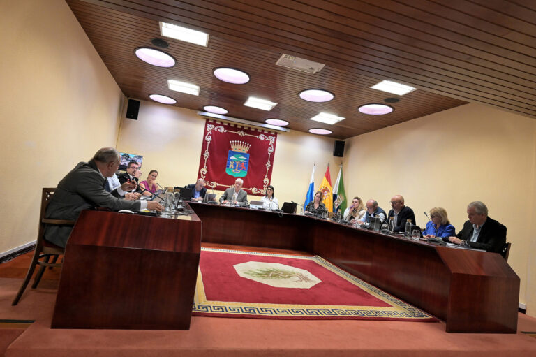 El Pleno del Cabildo aprueba la modificación del Plan Estratégico de Subvenciones con nuevas ayudas al sector Primario