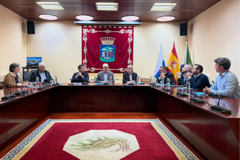 El Cabildo celebra una reunión de coordinación con los Ayuntamientos para la elaboración de los Catálogos Municipales de Patrimonio Cultural