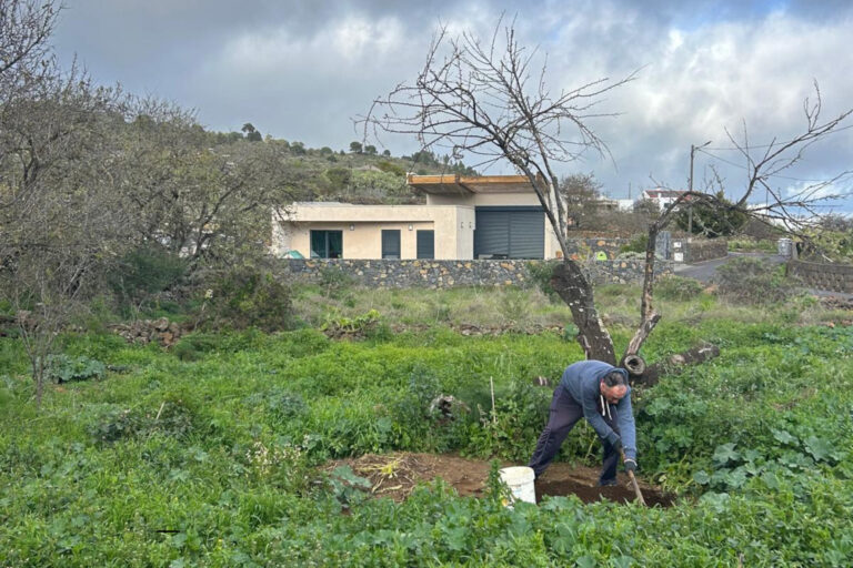 El proyecto “Juntémonos en Comunidad II” dará continuidad al huerto comunitario en El Pinar