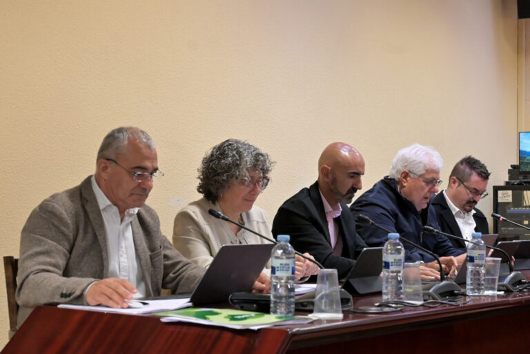 AHI pide revisar la convocatoria de subvenciones al deporte herreño 2025 tras quedarse fuera de la convocatoria varios clubes y deportistas de la isla