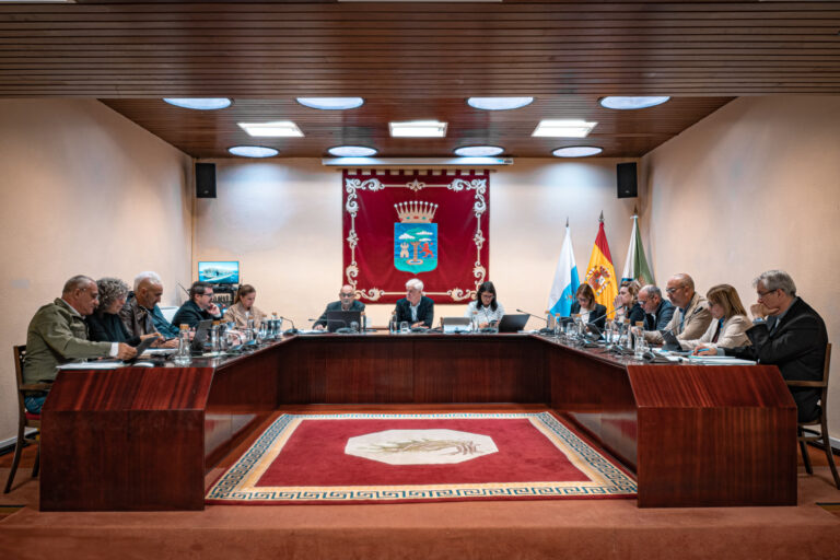 El Cabildo aprueba el Plan Estratégico de Subvenciones 2026-2028 y desestima dos mociones destinadas al comercio local y a la reducción de directores de área en la institución