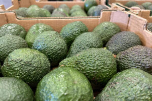 HiperDino comercializó más de 1 millón de kilos de aguacates canarios en 2025