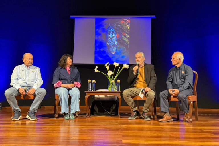 La Restinga acogerá el XXXVII Campeonato de Canarias de Fotografía Submarina