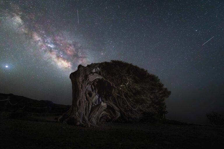 La Frontera acoge del 5 al 7 de junio el I Congreso de Fotografía Nocturna “Starstrek 2026”