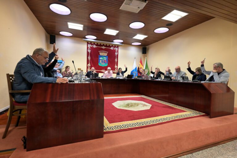 El Cabildo solicita a Europa suspender la regla de gasto para dar respuesta social y económica a la crisis internacional