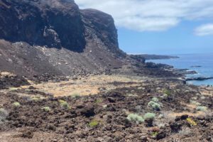 El Ayuntamiento de El Pinar acuerda con la plataforma “Salvar Tacorón” desestimar la instalación de 115 tumbonas de hormigón en este espacio natural