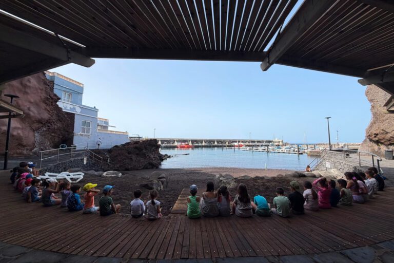 Más de 30 niños y niñas participan en el Campamento de Verano de El Pinar