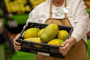 HiperDino comercializa 1.000 toneladas de papaya canaria durante 2025